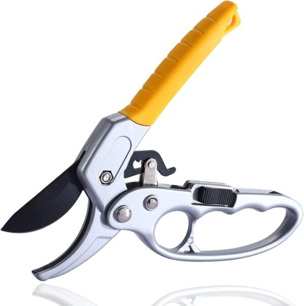 Professional Pruning Shears: The Ultimate Garden Hand Tool for Effortless Cuts